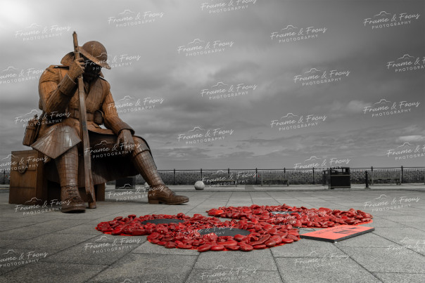 To buy a print or any of the below please click on the images